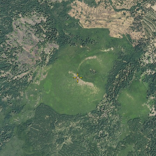 Aerial/Satellite Image of Red Lake Mountain, CA