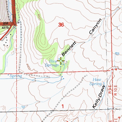 Topographic Map of Rice Springs, CA