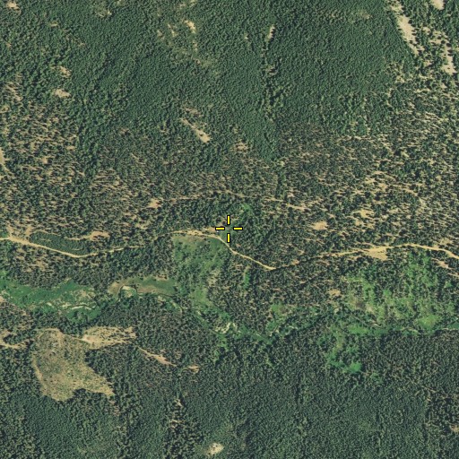 Aerial/Satellite Image of Ruffa Ranch (historical), CA