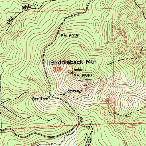 Topographic Map of Saddleback Mountain, CA