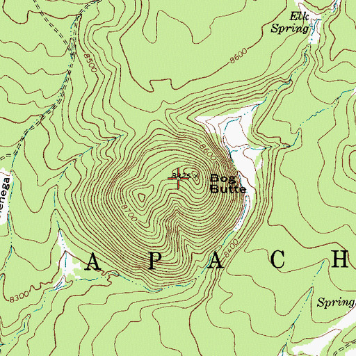 Topographic Map of Bog Butte, AZ