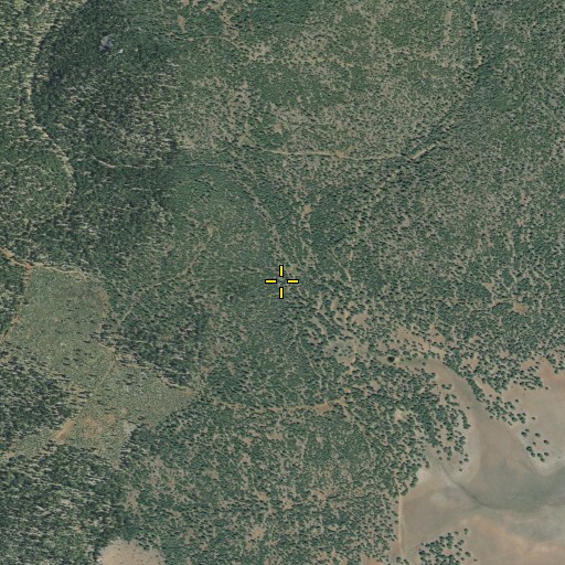 Aerial/Satellite Image of Salt Cabin, CA