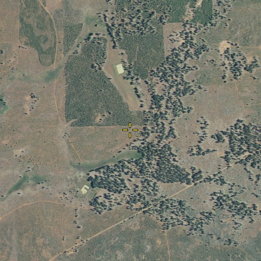 Aerial/Satellite Image of Sand Flat, CA