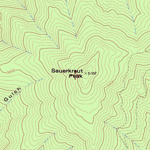 Topographic Map of Sauerkraut Peak, CA