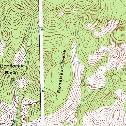 Topographic Map of Bonehead Mesa, AZ