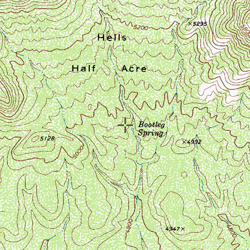 Topographic Map of Bootleg Spring, AZ