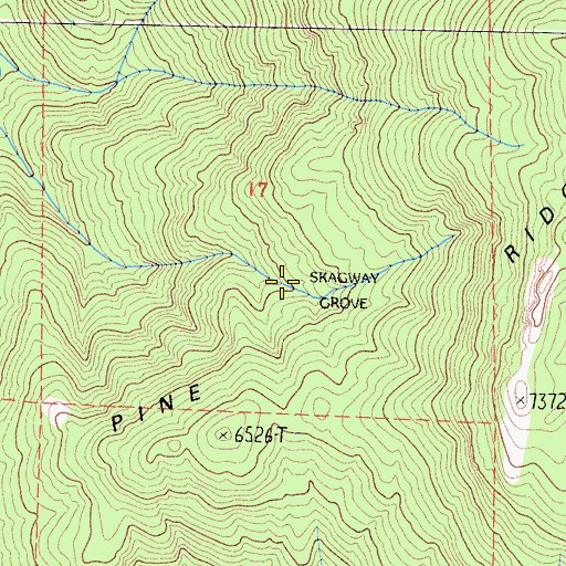 Topographic Map of Skagway Grove, CA