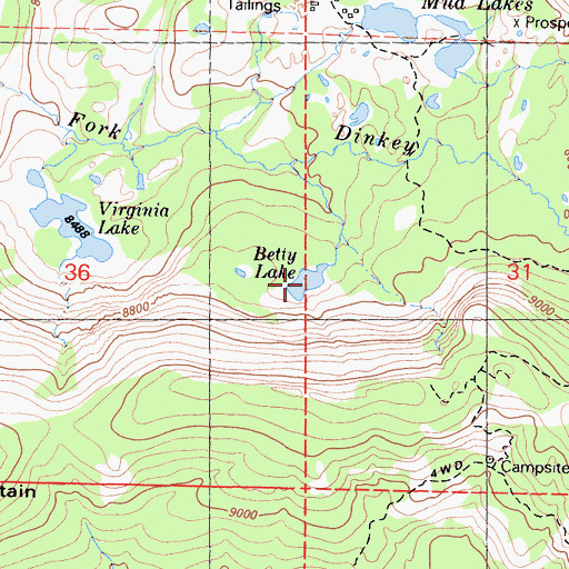 Topographic Map of Betty Lake, CA
