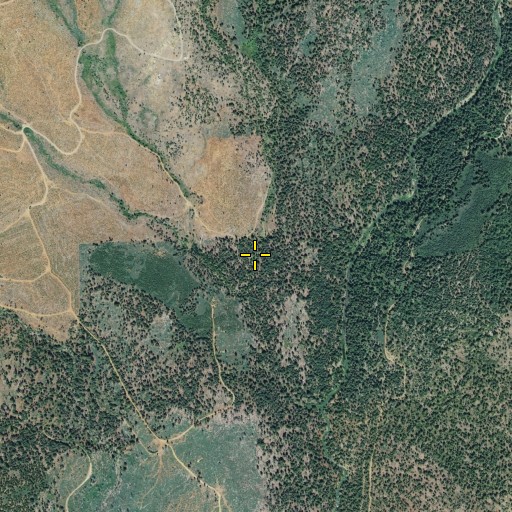 Aerial/Satellite Image of Blue Lead Gulch, CA