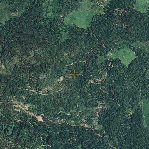 Aerial/Satellite Image of Feather River Experimental Forest, CA