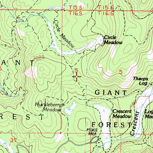 Topographic Map of Giant Forest, CA