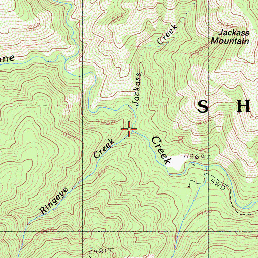 Topographic Map of Ringeye Creek, CA