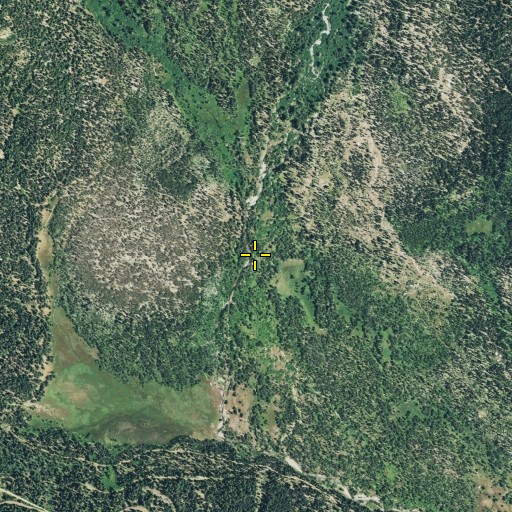 Aerial/Satellite Image of South Arm Rice Creek, CA