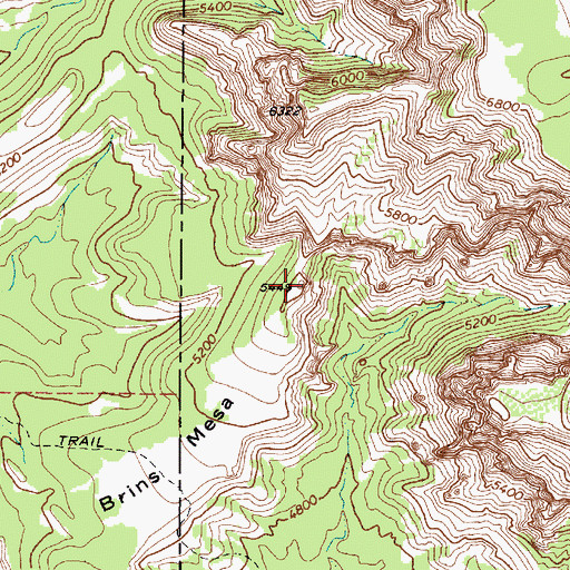 Topographic Map of Brins Mesa, AZ