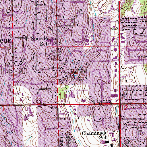 Topographic Map of Deschamps Creek, MO