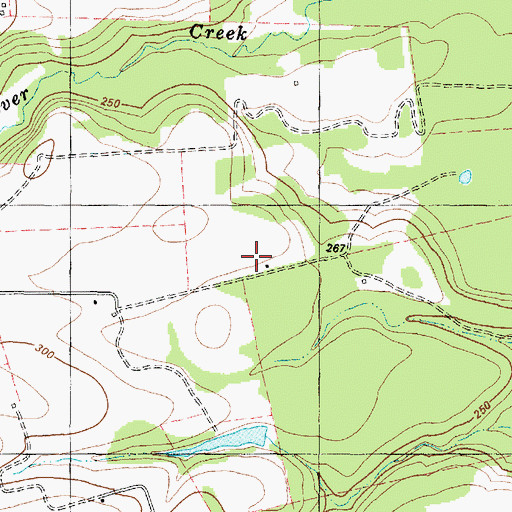 Topographic Map of Taylor Ranch Airport, TX