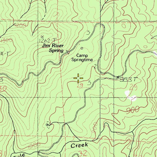 Topographic Map of Springtime Flat, CA