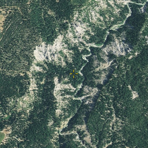 Aerial/Satellite Image of Squirrel Creek, CA