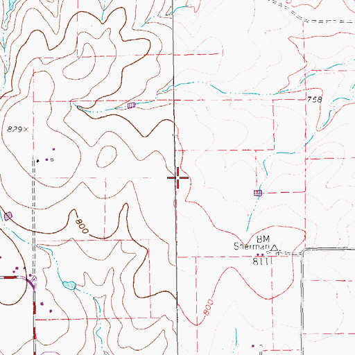 Topographic Map of Flying P Airport, TX