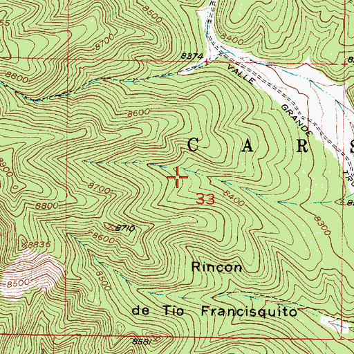 Topographic Map of Osa Spring, NM