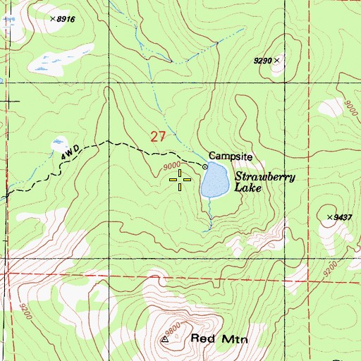 Topographic Map of Strawberry Lake, CA