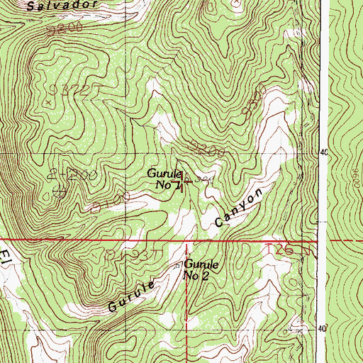 Topographic Map of Gurule Spring Number One, NM