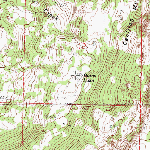 Topographic Map of Burns Lake, NM