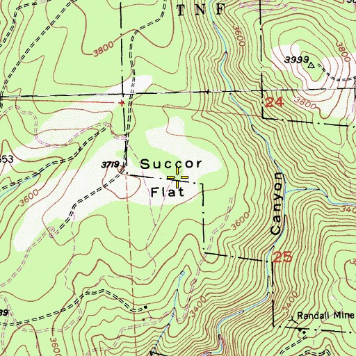 Topographic Map of Succor Flat, CA