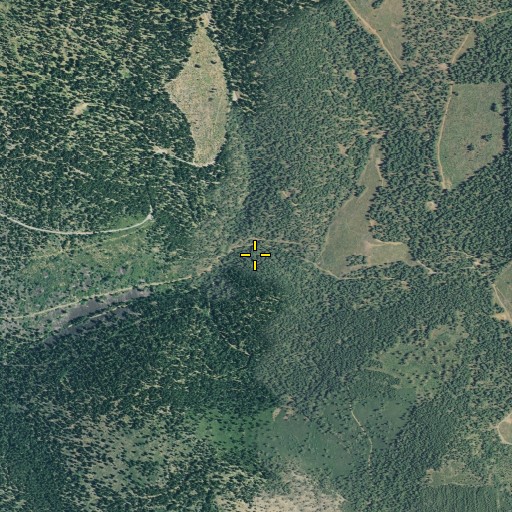 Aerial/Satellite Image of Sugar Pine Basin, CA