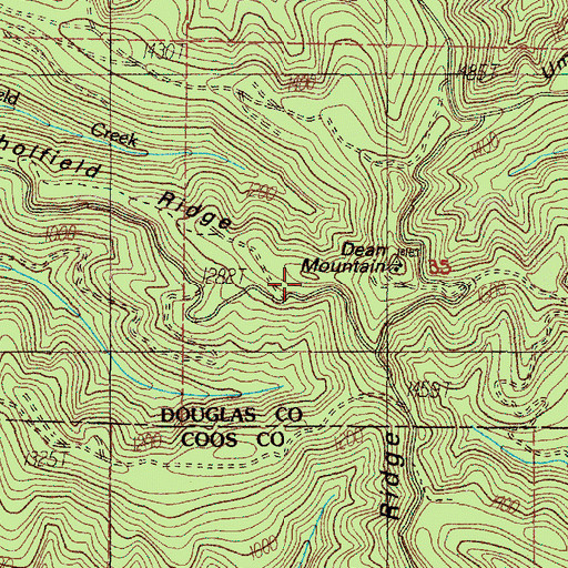 Topographic Map of Scholfield Ridge, OR