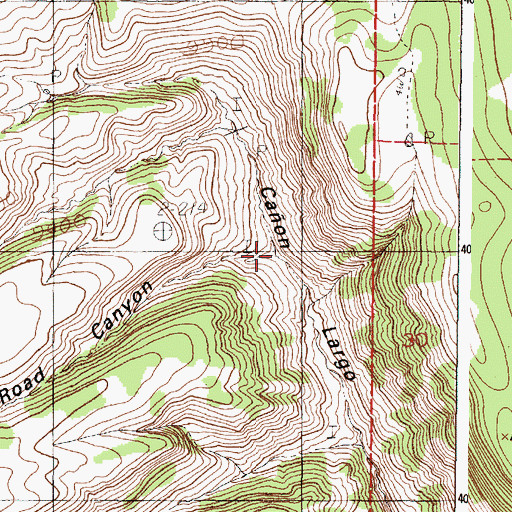 Topographic Map of Road Canyon, NM