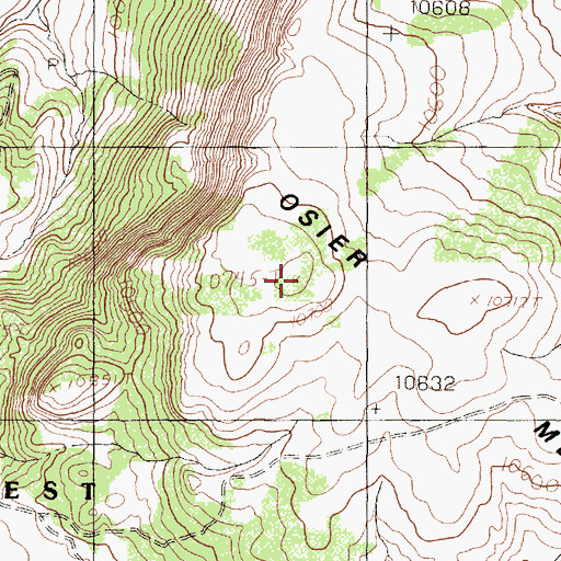Topographic Map of Osier Mesa, NM