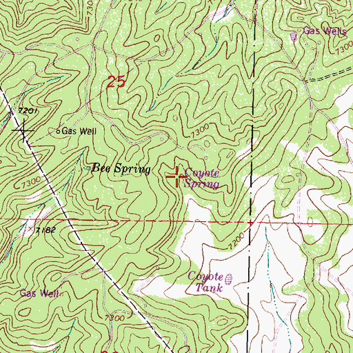 Topographic Map of Coyote Spring, NM