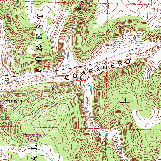 Topographic Map of Fierro Canyon, NM