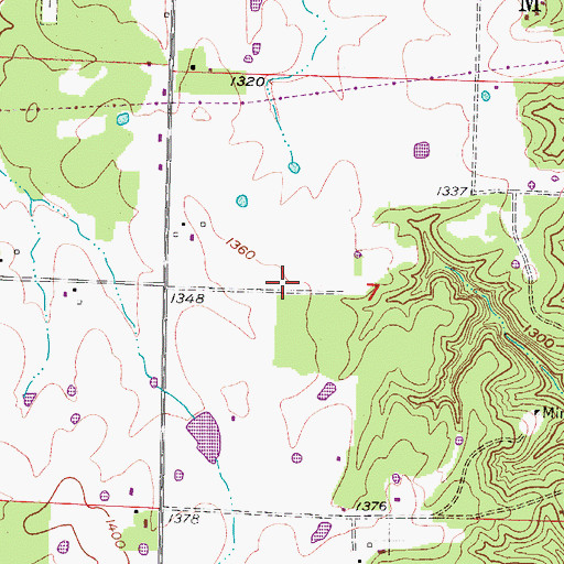 Topographic Map of Gimlin Airport, MO