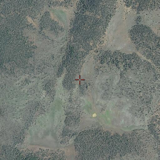 Aerial/Satellite Image of Sunflower Flat, CA