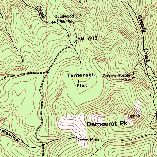 Topographic Map of Tamarack Flat, CA