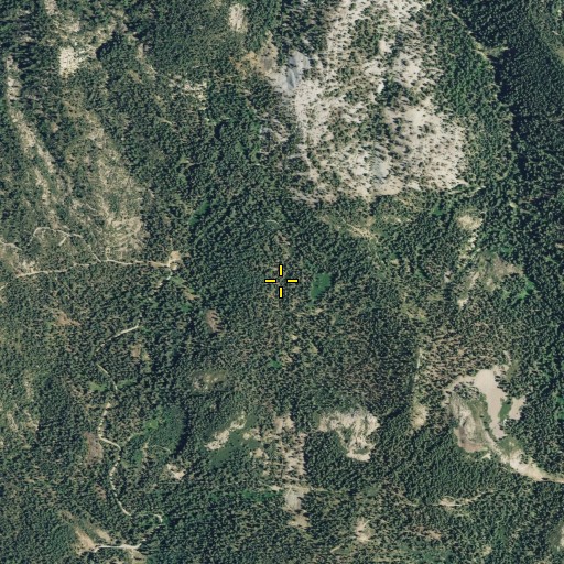 Aerial/Satellite Image of Tamarack Flat, CA