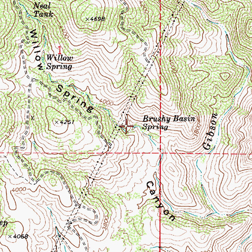 Topographic Map of Brushy Basin Spring, AZ