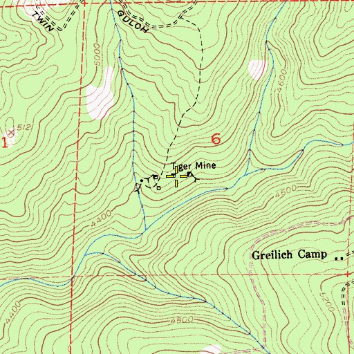 Topographic Map of Tiger Mine, CA