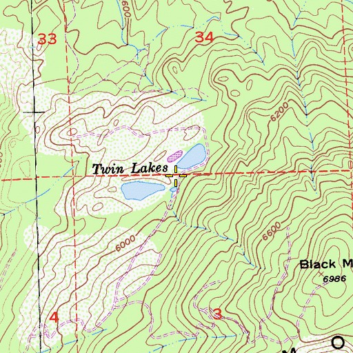 Topographic Map of Twin Lakes, CA