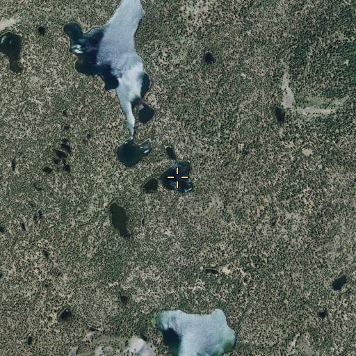 Aerial/Satellite Image of Twin Lakes, CA