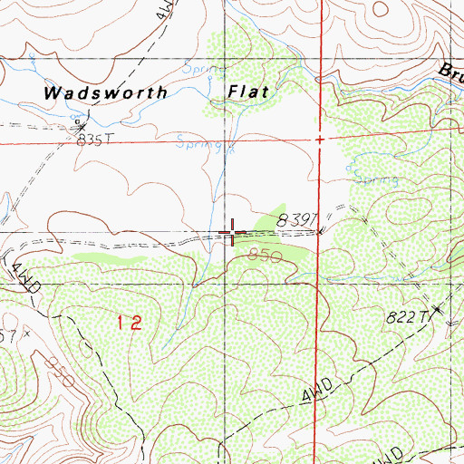 Topographic Map of Wadsworth Flat, CA