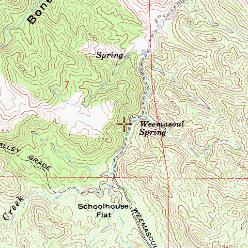 Topographic Map of Weemasoul Spring, CA