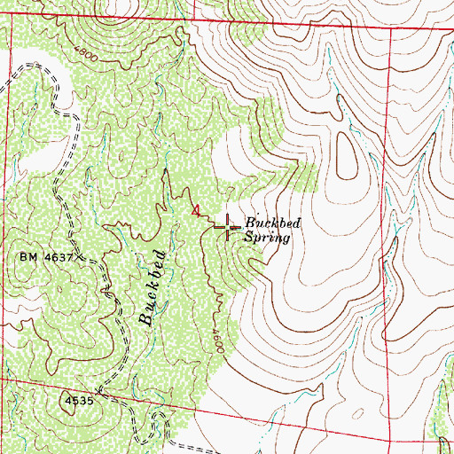 Topographic Map of Buckbed Spring, AZ