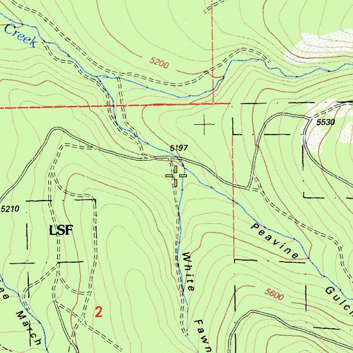 Topographic Map of White Fawn Gulch, CA