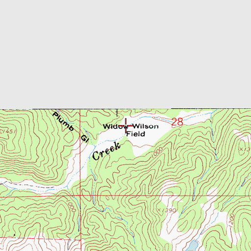 Topographic Map of Widow Wilson Field, CA