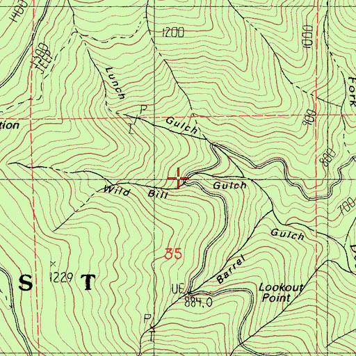 Topographic Map of Wild Bill Gulch, CA