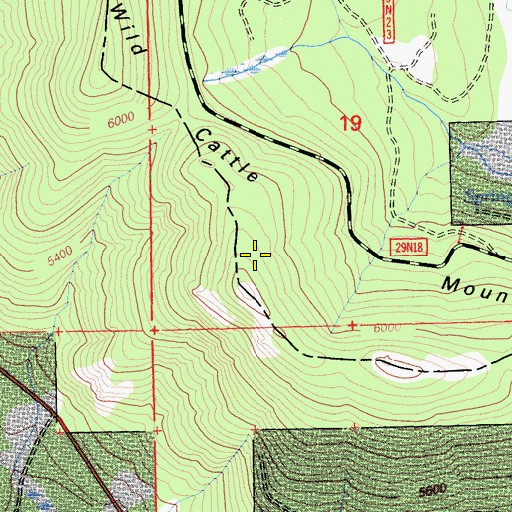 Topographic Map of Wild Cattle Mountain, CA