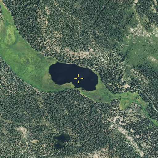 Aerial/Satellite Image of Willow Lake, CA